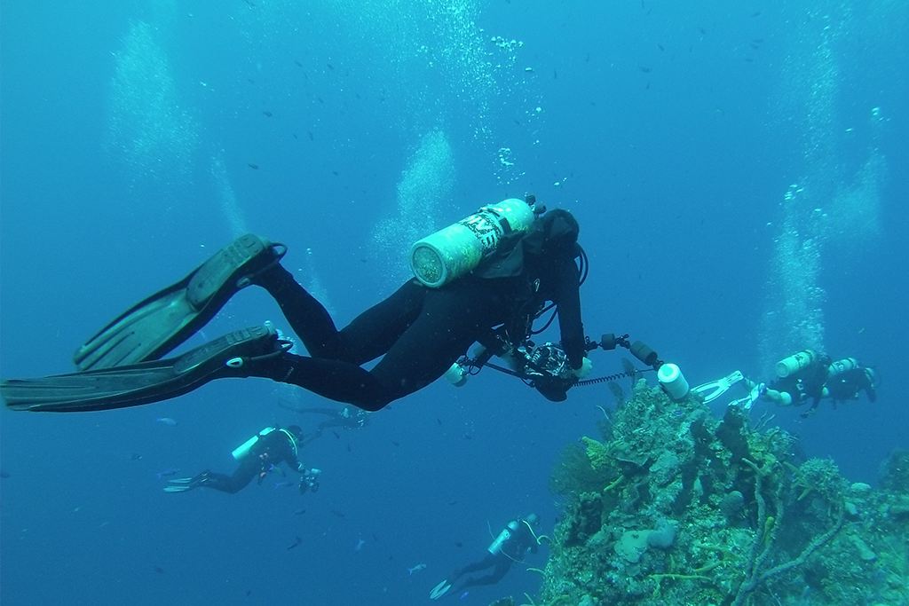 Group of scuba divers underwater